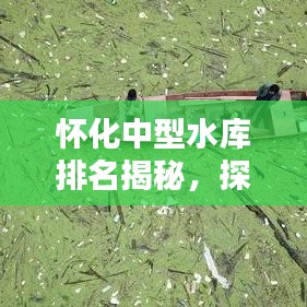 鸟覆危巢 第8页