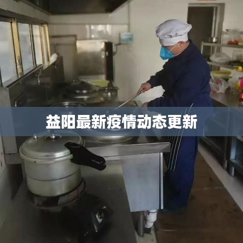 益阳最新疫情动态更新