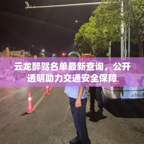 云龙醉驾名单最新查询，公开透明助力交通安全保障