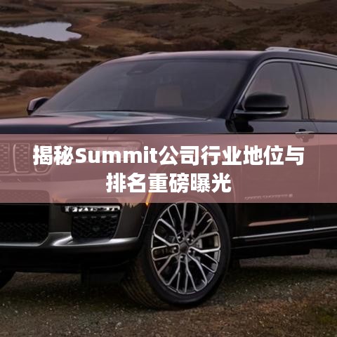 揭秘Summit公司行业地位与排名重磅曝光