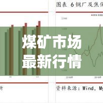 煤矿市场最新行情概览，走势分析、展望未来发展前景