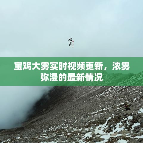 宝鸡大雾实时视频更新，浓雾弥漫的最新情况