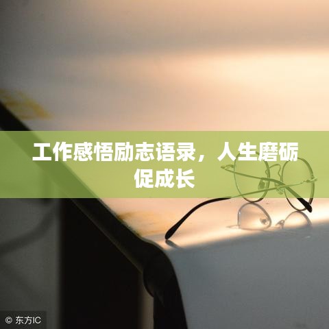 工作感悟励志语录，人生磨砺促成长