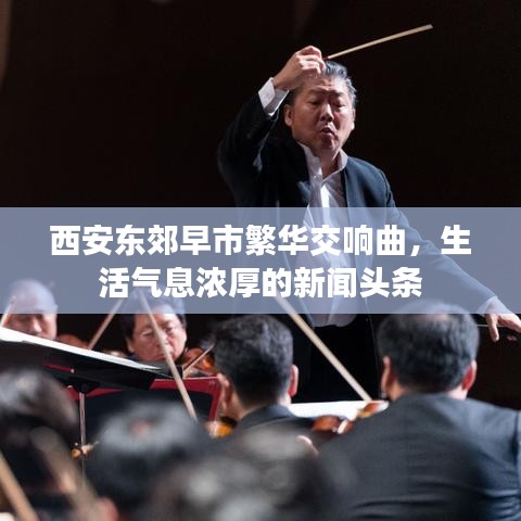西安东郊早市繁华交响曲，生活气息浓厚的新闻头条