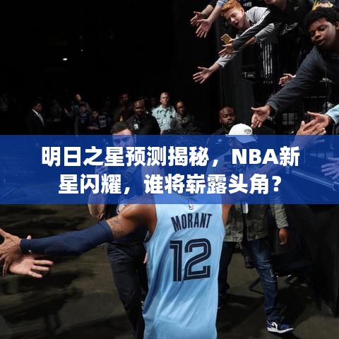 明日之星预测揭秘，NBA新星闪耀，谁将崭露头角？