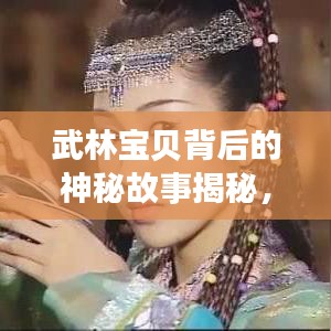 武林宝贝背后的神秘故事揭秘，探寻真实面纱下的传奇之旅