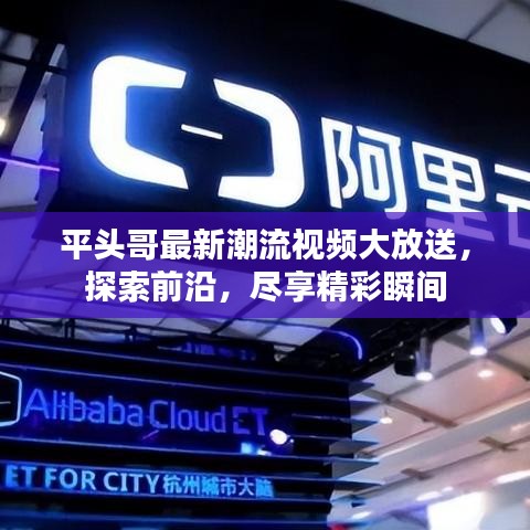 平头哥最新潮流视频大放送,探索前沿,尽享精彩瞬间