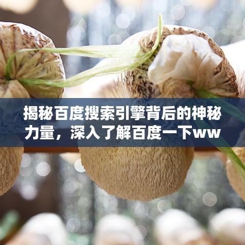 揭秘百度搜索引擎背后的神秘力量，深入了解百度一下ww的奥秘！