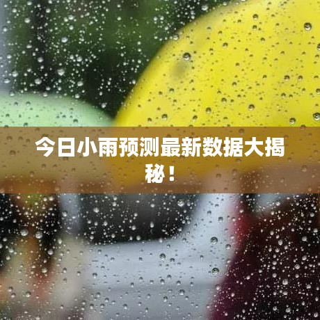今日小雨预测最新数据大揭秘！