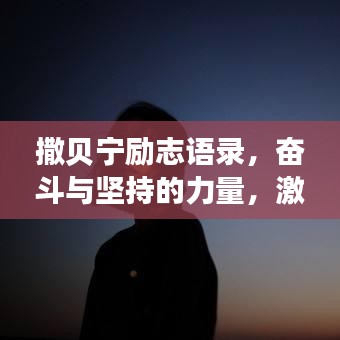 撒贝宁励志语录，奋斗与坚持的力量，激发无限潜能！