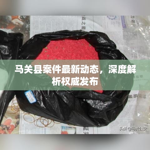马关县案件最新动态，深度解析权威发布
