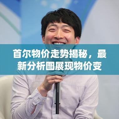 首尔物价走势揭秘，最新分析图展现物价变化与趋势