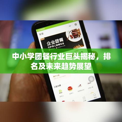 中小学团餐行业巨头揭秘，排名及未来趋势展望