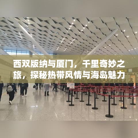 西双版纳与厦门，千里奇妙之旅，探秘热带风情与海岛魅力