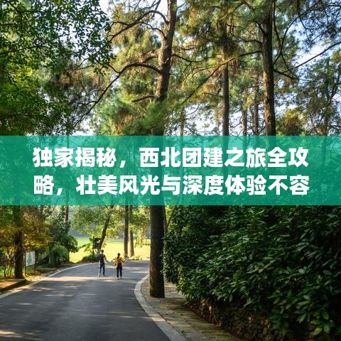 独家揭秘，西北团建之旅全攻略，壮美风光与深度体验不容错过！