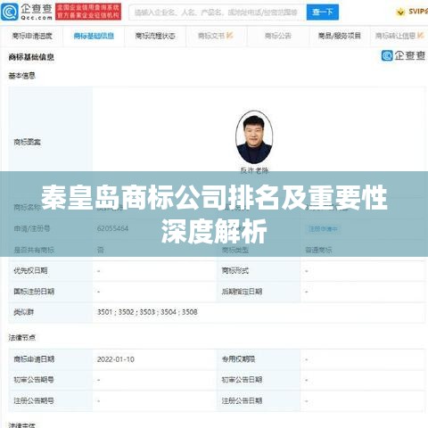 秦皇岛商标公司排名及重要性深度解析