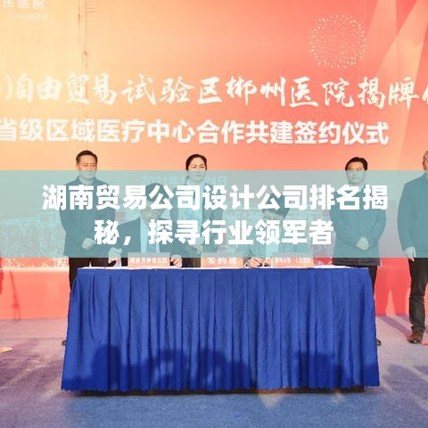 湖南贸易公司设计公司排名揭秘，探寻行业领军者