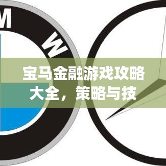 宝马金融游戏攻略大全,策略与技巧助你轻松玩转金融游戏!