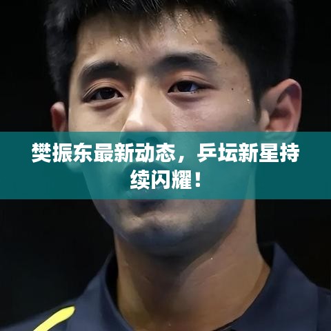 樊振东最新动态，乒坛新星持续闪耀！