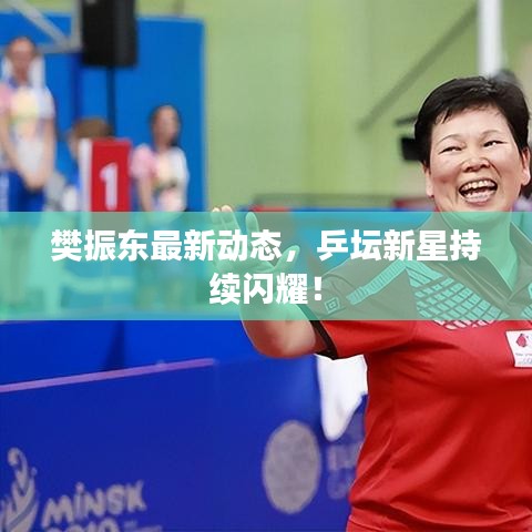 樊振东最新动态,乒坛新星持续闪耀!