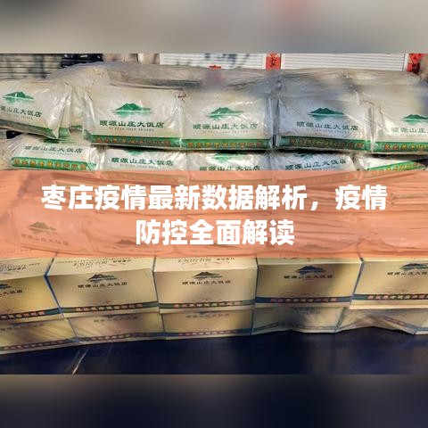 枣庄疫情最新数据解析，疫情防控全面解读