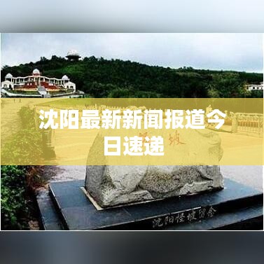 沈阳最新新闻报道今日速递