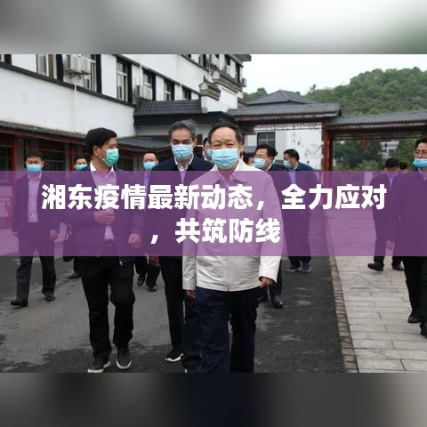 湘东疫情最新动态，全力应对，共筑防线