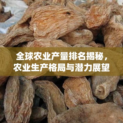 全球农业产量排名揭秘，农业生产格局与潜力展望