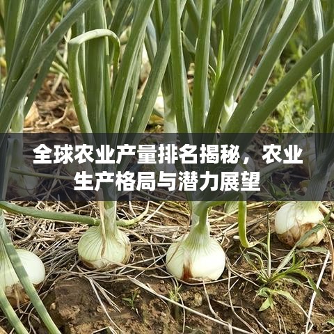 全球农业产量排名揭秘,农业生产格局与潜力展望