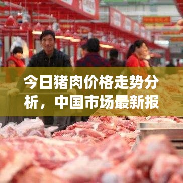 今日猪肉价格走势分析,中国市场最新报价及趋势预测