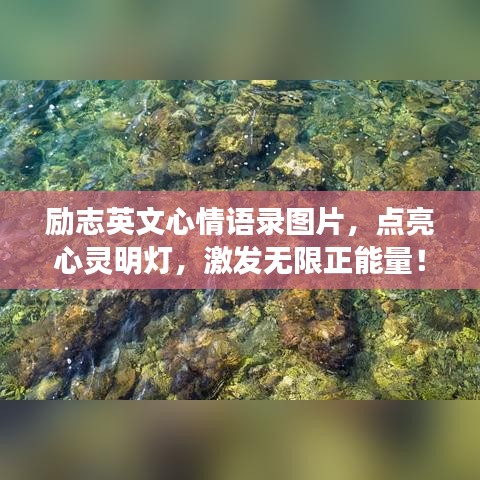 励志英文心情语录图片，点亮心灵明灯，激发无限正能量！