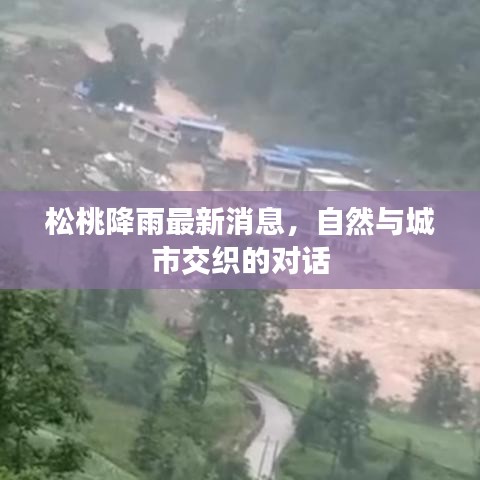 松桃降雨最新消息，自然与城市交织的对话