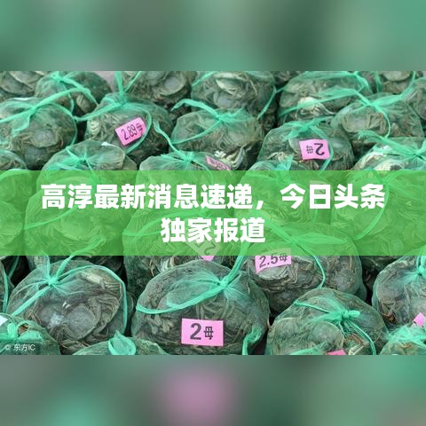 高淳最新消息速递，今日头条独家报道