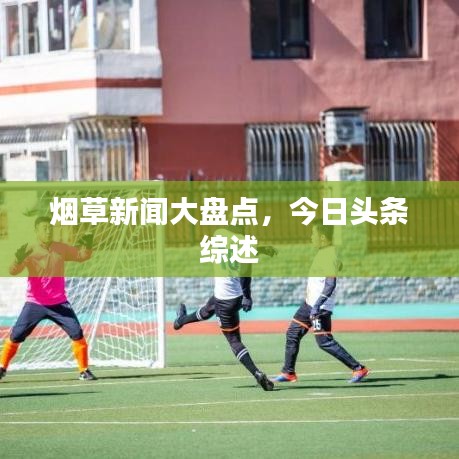 烟草新闻大盘点，今日头条综述