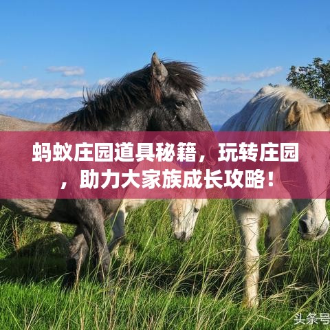 蚂蚁庄园道具秘籍，玩转庄园，助力大家族成长攻略！