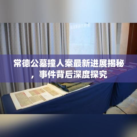 常德公墓撞人案最新进展揭秘，事件背后深度探究