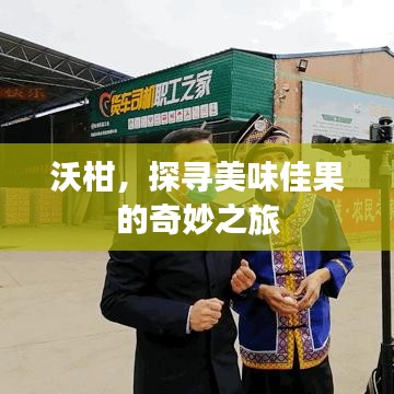 沃柑，探寻美味佳果的奇妙之旅