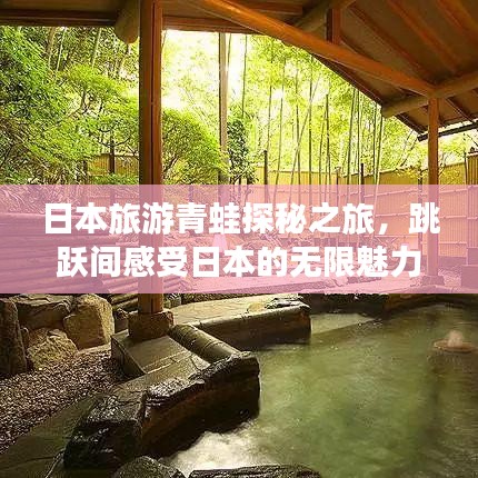 日本旅游青蛙探秘之旅,跳跃间感受日本的无限魅力
