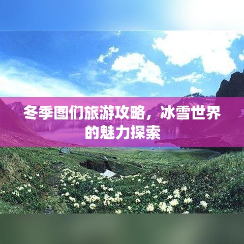 冬季图们旅游攻略，冰雪世界的魅力探索