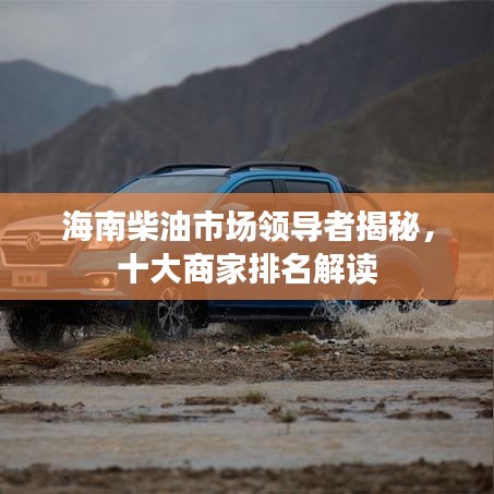 海南柴油市场领导者揭秘，十大商家排名解读