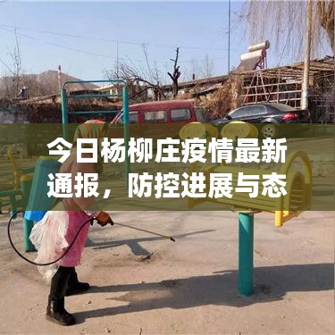 今日杨柳庄疫情最新通报，防控进展与态势分析
