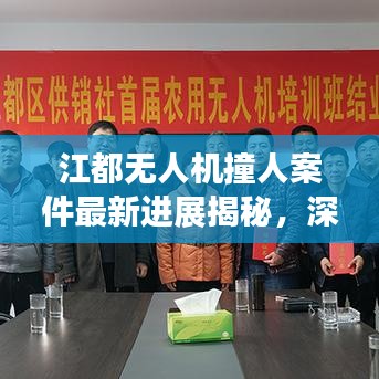 江都无人机撞人案件最新进展揭秘，深度探究权威解读