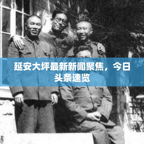 延安大坪最新新闻聚焦，今日头条速览