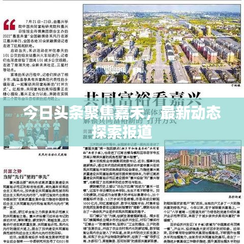 今日头条聚焦嘉禾，最新动态探索报道