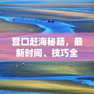 营口赶海秘籍，最新时间、技巧全攻略！