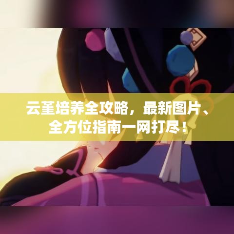 云堇培养全攻略，最新图片、全方位指南一网打尽！