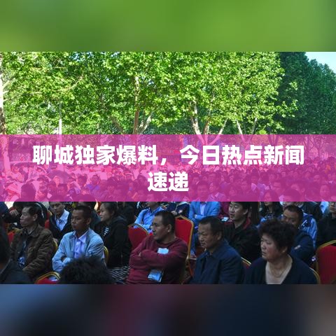 聊城独家爆料，今日热点新闻速递