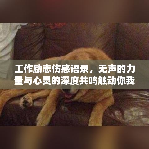 工作励志伤感语录，无声的力量与心灵的深度共鸣触动你我心弦