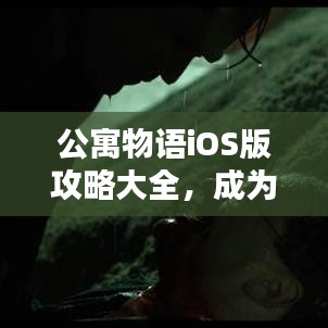公寓物语iOS版攻略大全，成为顶尖玩家的终极指南！