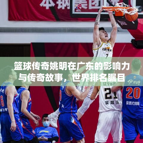 篮球传奇姚明在广东的影响力与传奇故事，世界排名瞩目